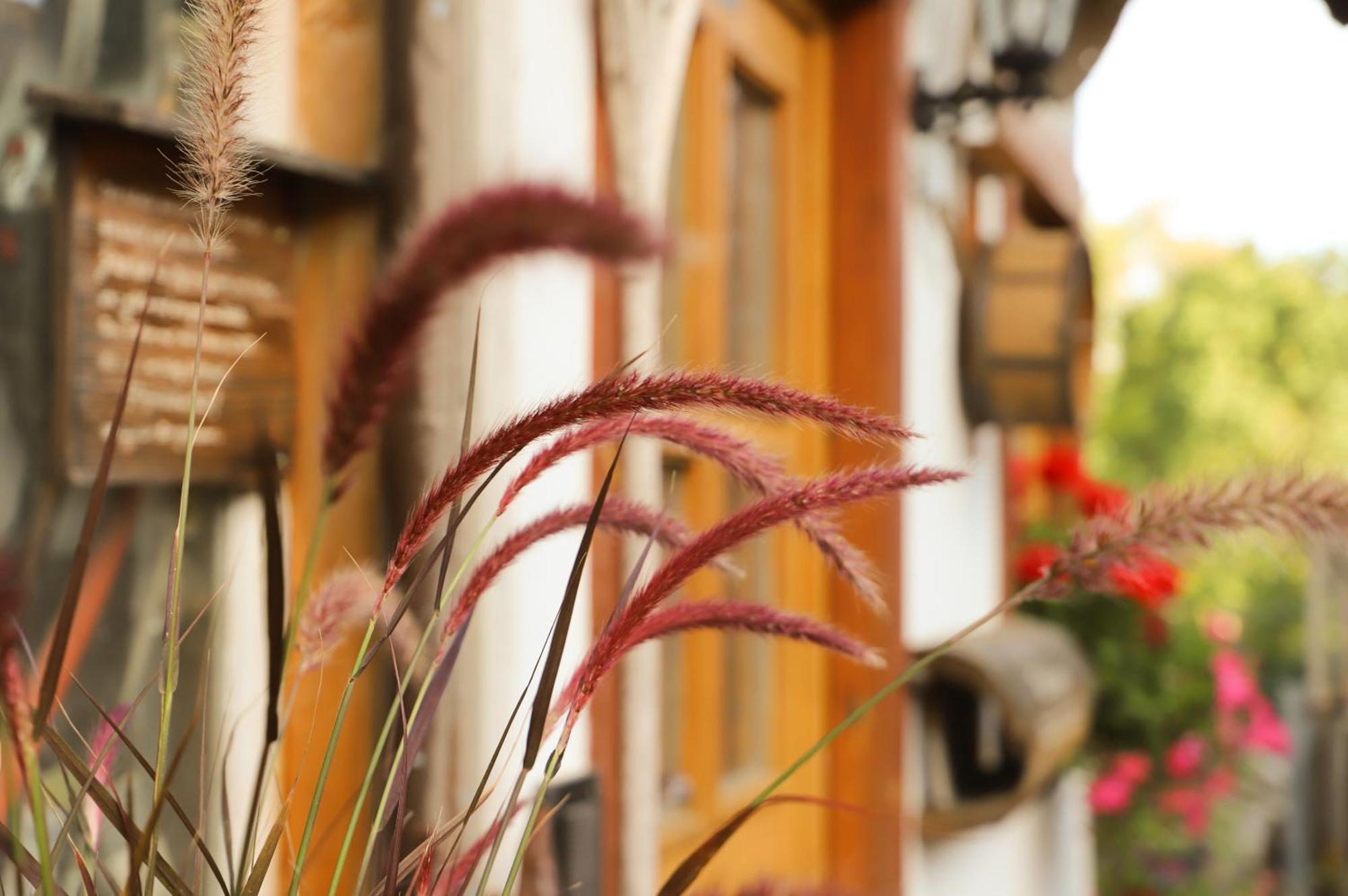 Pension Baarblick Donaueschingen Exterior foto