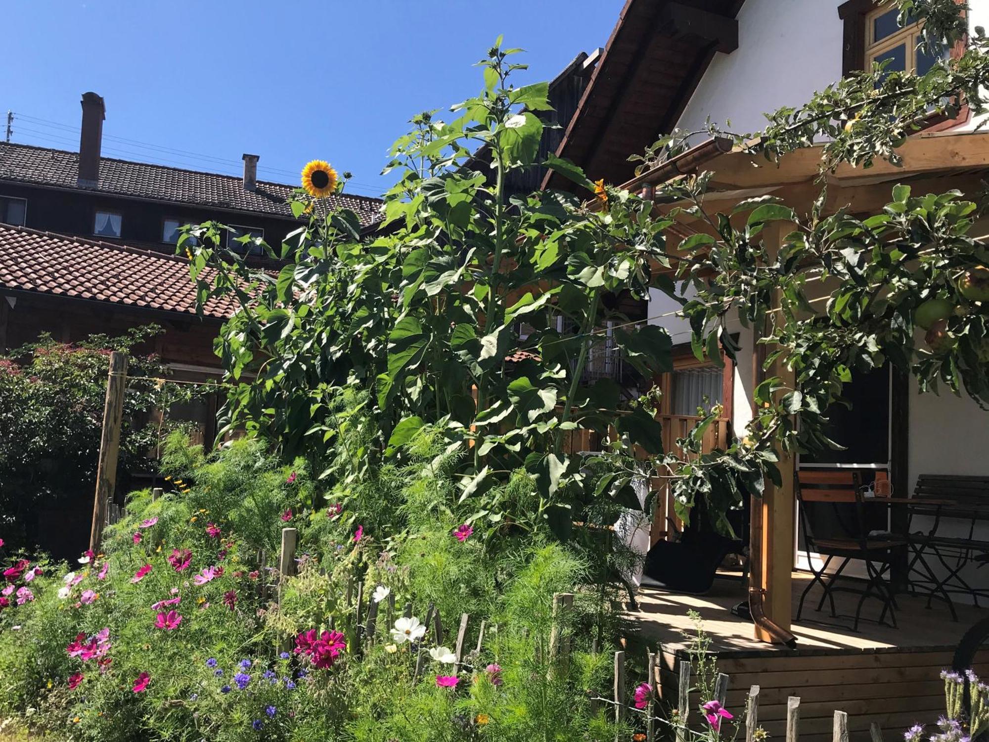 Pension Baarblick Donaueschingen Exterior foto